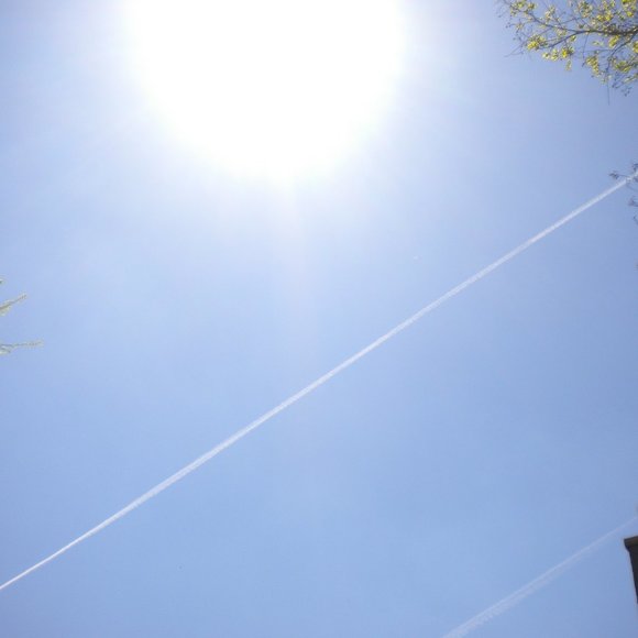 Meet your Posher, Dee - Picture 5 of 8